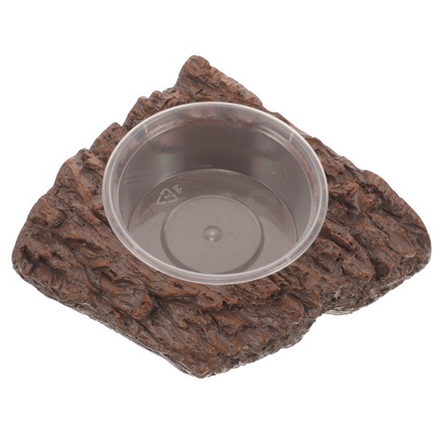 Lizard bowl reptile - lizard, food