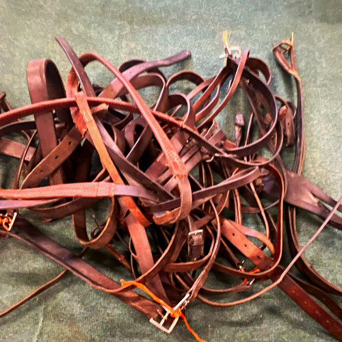Job lot horse - lot,