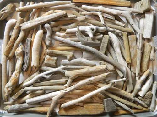 100 driftwood pieces for - driftwood,