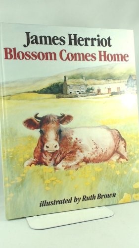 Blossom comes home - comes, home-james