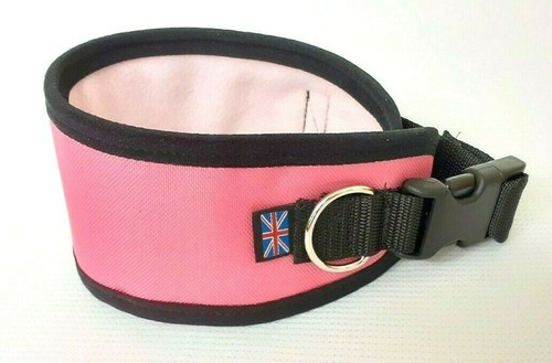 Greyhound lurcher shower - /,