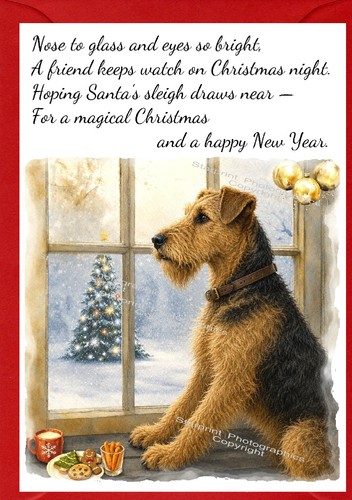 Airedale terrier dog x - terrier, (4"