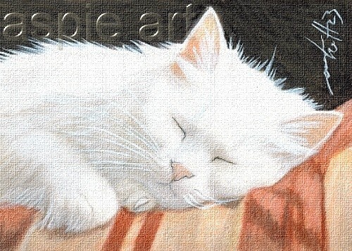 Aceo print limited edition atc - edition,