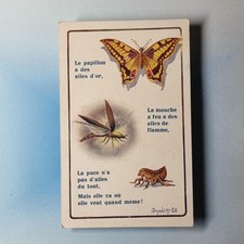 Comic Postcard 1920 Butterfly