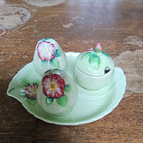 Carlton ware wild rose cruet - wild,