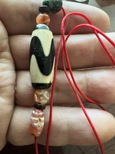 Tibetan Tiger Teeth Dzi Beads