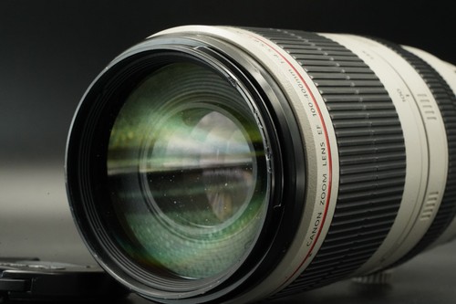 Canon 100 400mm 5 - 100-400mm, l