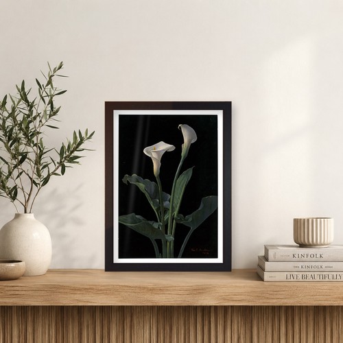 Vintage calla lily botanical - vintage,