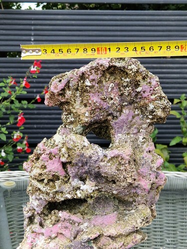 Tmc eco reef marine aquarium - reef,