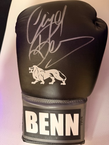 Nigel benn signed boxing glove - nigel,