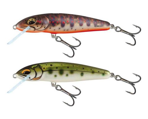 Salmo minnow freshwater - salmo,