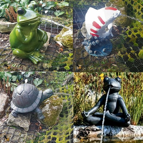 Pond spitter frog fish koi - fish,