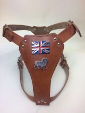British Bulldog leather dog