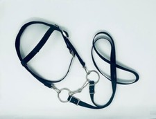 MINIATURE HORSE / SM PONY