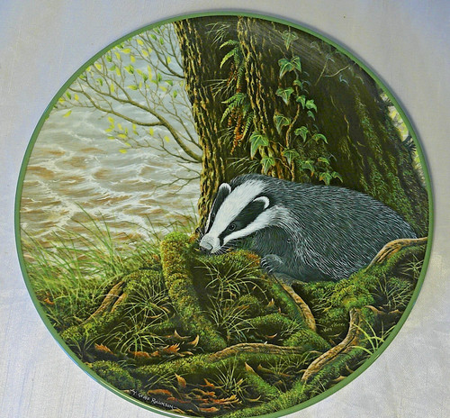 Royal doulton collector plate - collector,