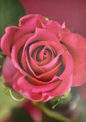 Open birthday greetings card - open,