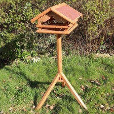 Wooden bird table feeder - bird,