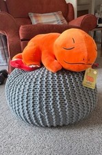 Pokemon Charmander Sleeping