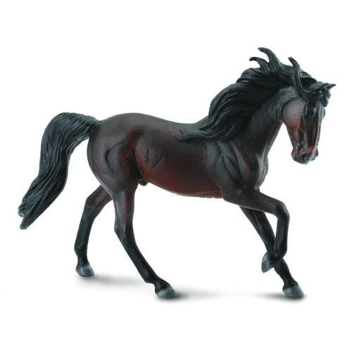 Andalusian stallion bay - stallion,