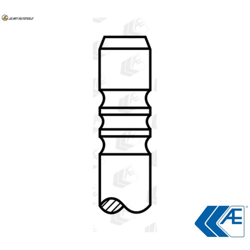 Exhaust valve v91998 for c - 4x,