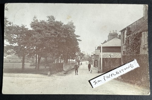 The ivy green inn - green, hythe