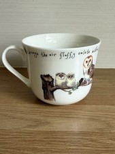 Leonardo Collection Owls & Robins Mug