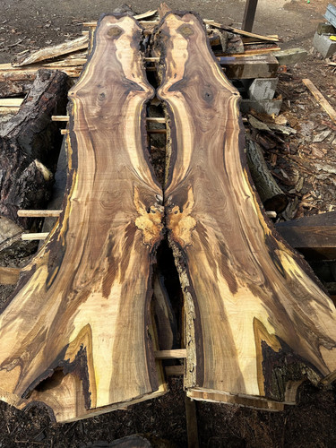 English walnut bookmatched - walnut,