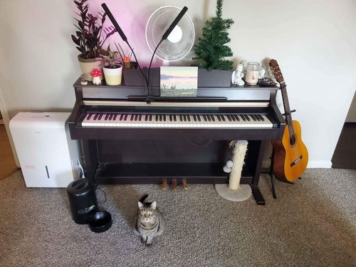 Yamaha digital piano - digital,