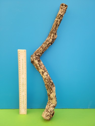 Cork bark branch 51cm - cork,