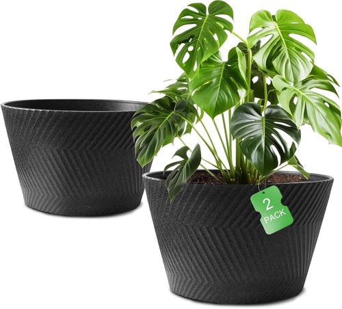 Inch big plant pots pack - inch,