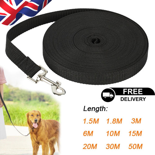 Dog recall training - recall, lead