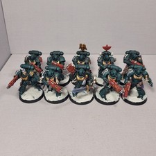 Intercessor Squad Painted Dark