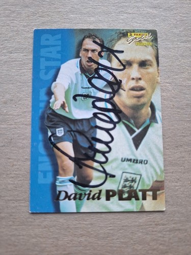 David platt england - david,