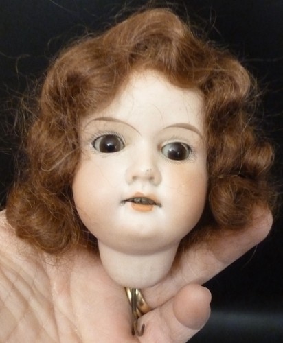 Antique bisque doll head - ,