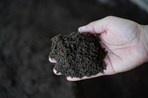 Worm castings litre - worm,