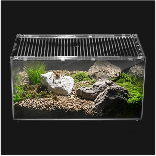 Reptile terrarium starter - pc,