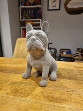 Cute Little French Bulldog