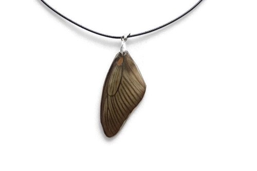 Real butterfly wing necklace