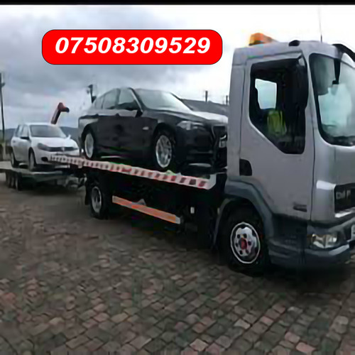 Car vehicle delivery - /,