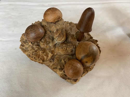 Wood rose mushroom - rose’,