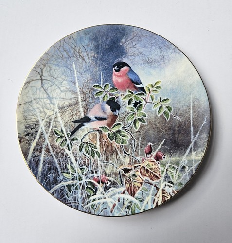 Bull finches frosty morning - bull,