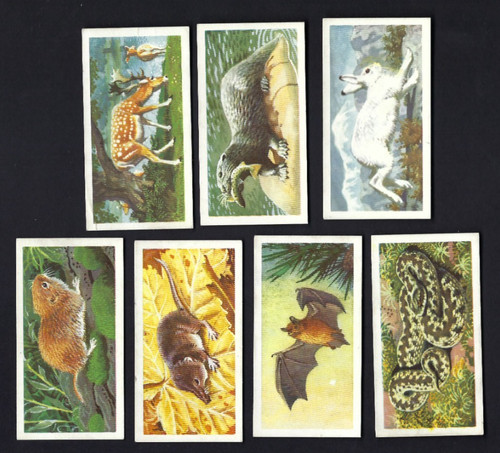 Brooke bond british - bond,