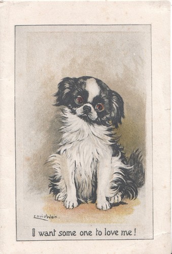 Louis wain japanese spaniel - louis,