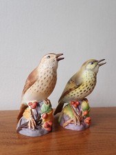 Royal Worcester birds Thrush
