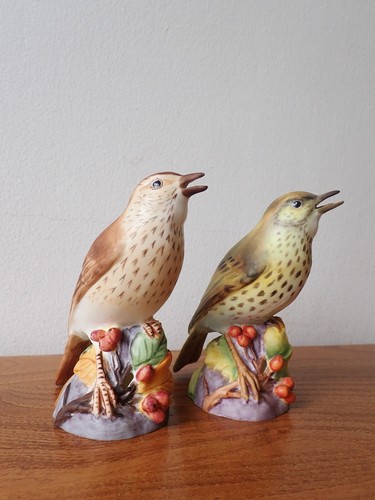 Royal worcester birds thrush - birds,