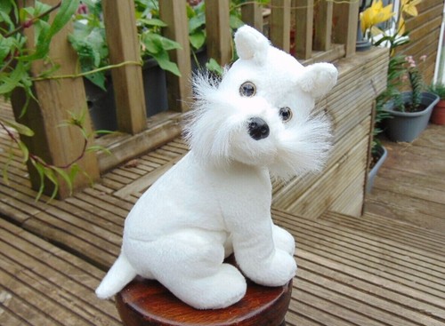 White schnauzer puppy dog - white, soft