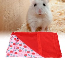 Bearded Dragon Bed Bearded