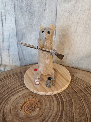 Bad taxidermy mouse derpy - taxidermy,