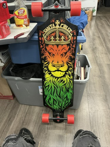Santa cruz lion - santa,