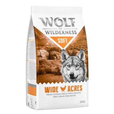 Wolf wilderness dry dog - wilderness,